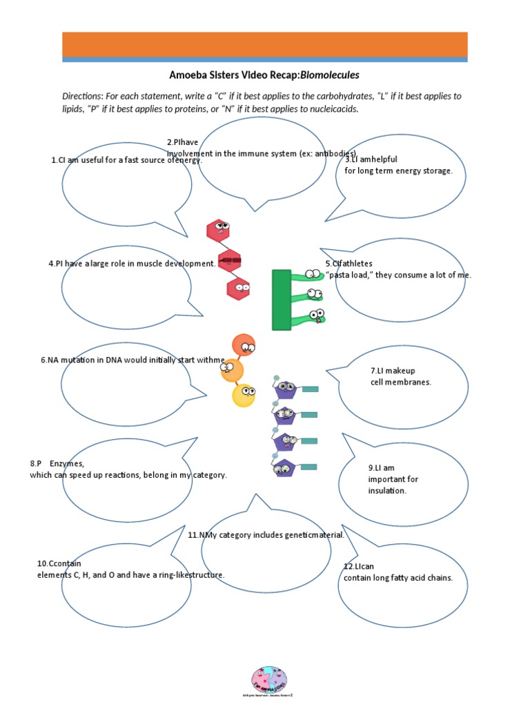 Amoeba Sisters Video RecapBiomolecules PDF Biomolecules Lipid