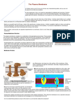 The Plasma Membrane: Cell Membranes Are Like Gates