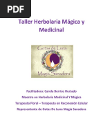 Taller-Herbolaria-Medicinal-y-Magica-completo