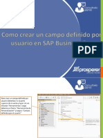 Campo Definido Por Usuario - PG SAP B1