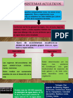 Ecosistemas Acuáticos Diapositiva