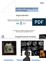 Patología Malformativa 1º Trimestre On Line VBOROBIO