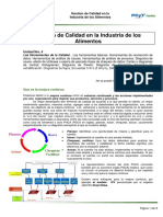 Gestion de Calidad 3