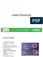 Trichomonas y Neisseria: Características de dos patógenos