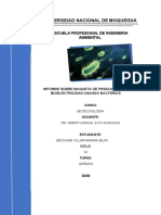 Informe Sobre La Maqueta de Producción de Bioelectricidad Usando Bacterias