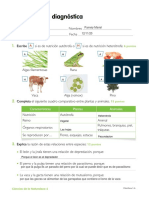 Evaluación Diagnóstica de Naturales