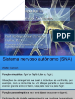 SNA: Sistema Nervoso Autônomo e seus efetores