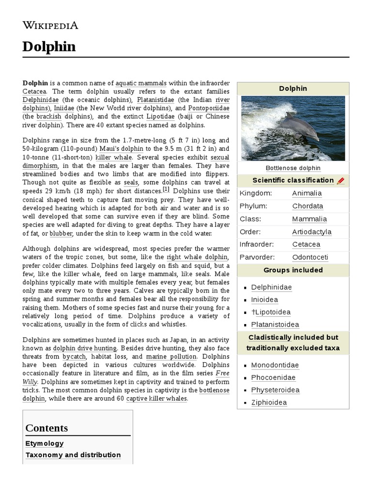 Dolphin Pdf Pdf Dolphin Cetacea