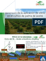 D1-C7-Beneficios-de-la-aplicaci¢n-del-silicio-en-el-cultivo-de-palma-de-aceite.pdf