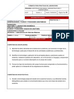 01 Planosyposicionesanatomicas1 PDF