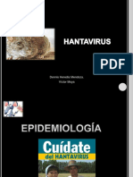 hantavirus-140802155541-phpapp02.pdf
