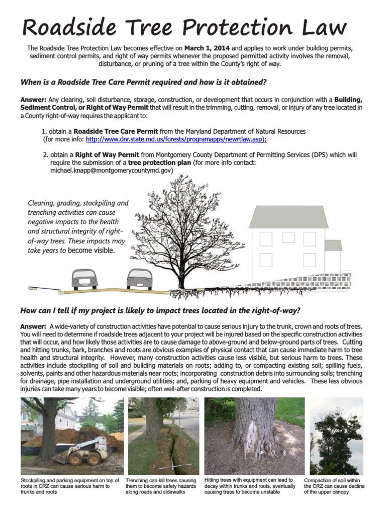 Roadside Tree Permit Guide | PDF | Trees | Pruning