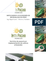 Inti Pacha Microalgas