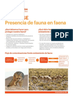 Alerta HSE Presencia de Fauna en Faena PDF