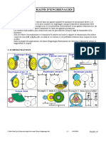 Trains Engrenage PDF