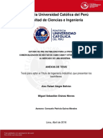 Alegre Alex Factibilidad Produccion Comercializacion Camu Camu Anexos PDF
