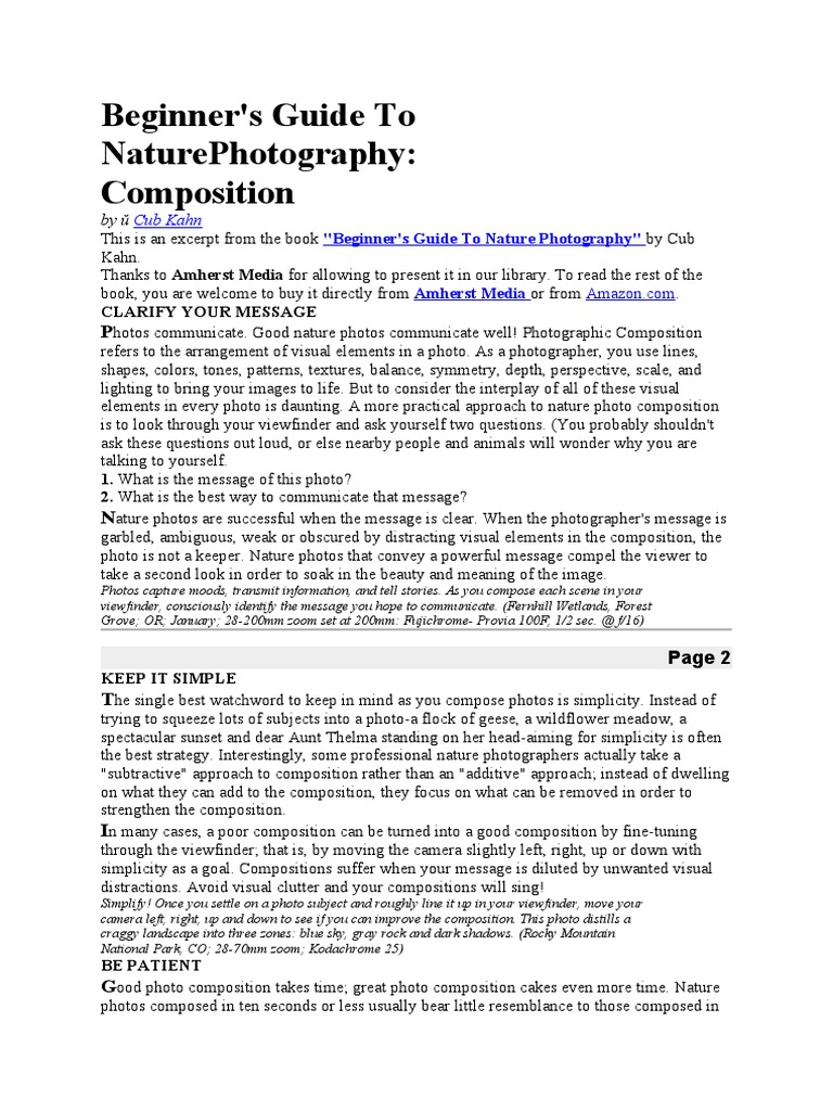 Beginner's Guide To Nature Photography | PDF | Composition (Visual Arts ...