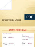 Estructura de Lípidos