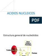 CAPITULO 5. ACIDOS NUCLEICOS.pdf