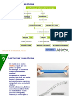 Deformaciones Cuerpos