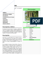 Pinus Lambertiana PDF