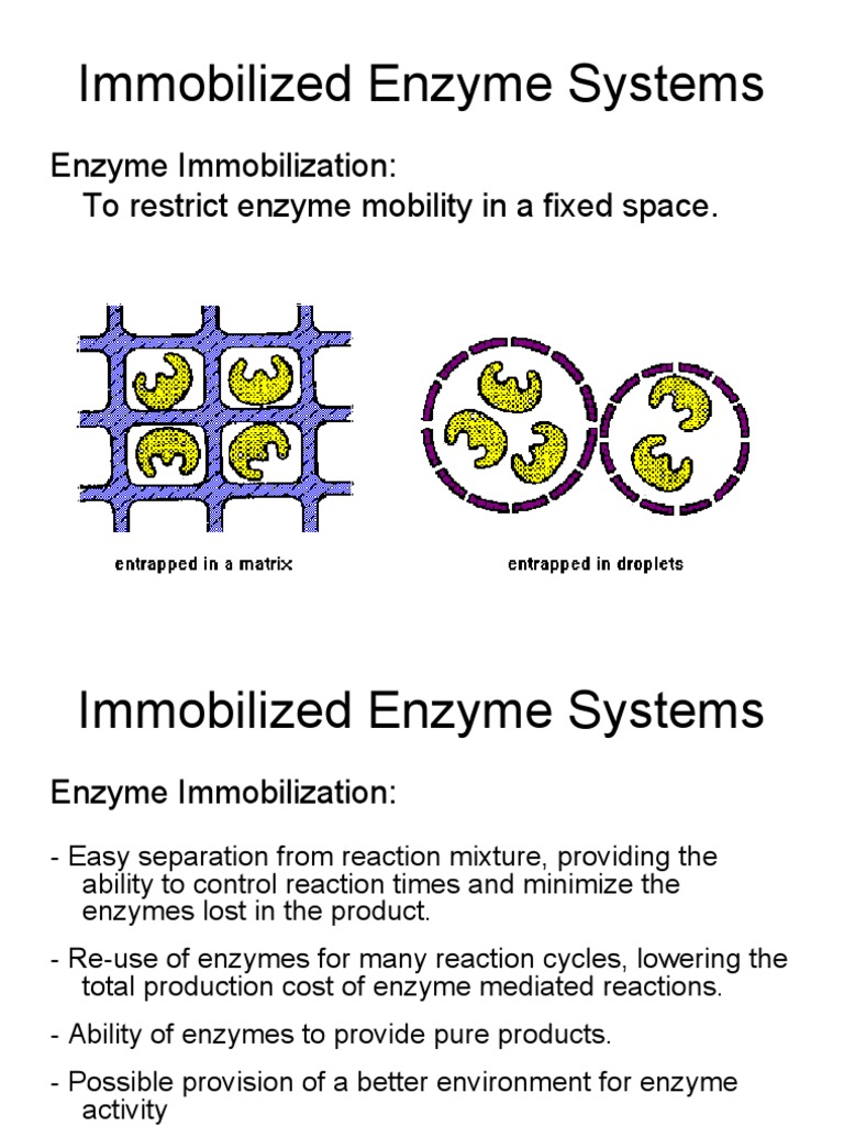 Enzyme Immobilization Techniques Overview | PDF | Enzyme | Polymers