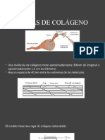 Piezoelectricidad, Fibras de Colageno