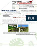 Fauna Peruana PDF