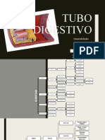 Tubo Digestivo-Ueg