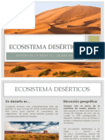 Jeyson de La Rosa Ecosistema Desértico 23835443