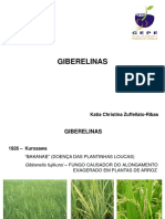 8 Giberelinas PDF