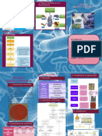 Listeria Monocytogenes 3 PDF