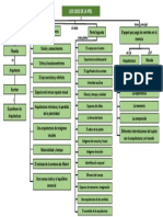 Mapa Conceptual