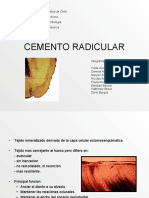 cementoradicular-090404221812-phpapp02
