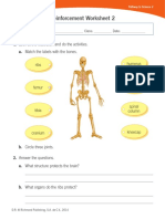 Reinforcement Worksheet 2: 1. Look at The Illustration and Do The Activities. A. Match The Labels With The Bones