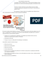 Estudio Sobre Anemia