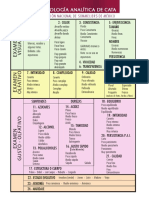 Terminología Analítica de Cata