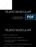 Tejido Muscular