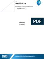 21. Patologia I temario.pdf