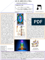 Diagrama Síntesis 38 Sendero 32: Arbol de La Vida