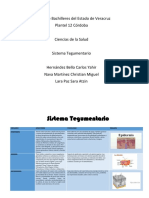 Sistema Tegumentario PDF