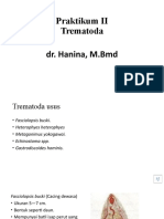 Praktikum Trematoda - PPSX