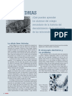 Llon CH Mitocondrias PDF