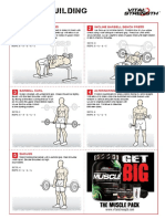 Vitalstrength Muscle Building Workouts PDF