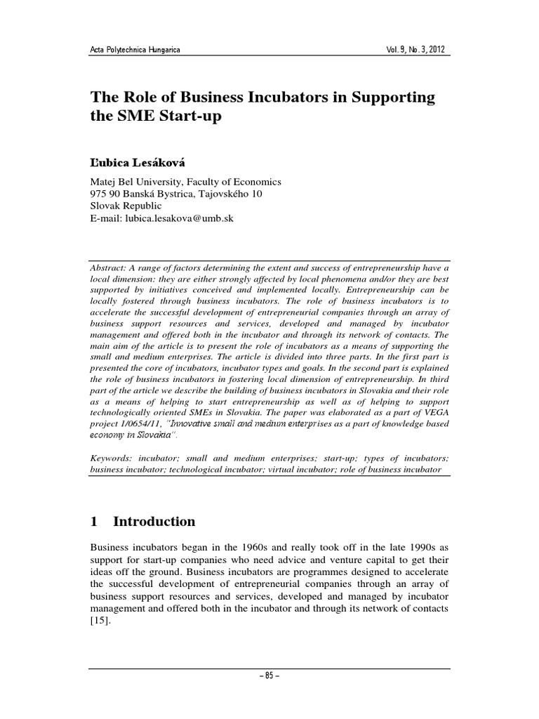 Role of Business Incubators PDF Business Incubator Startup Company