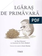 Bulgaras de Primavara - Paul Stewart, Chris Riddell