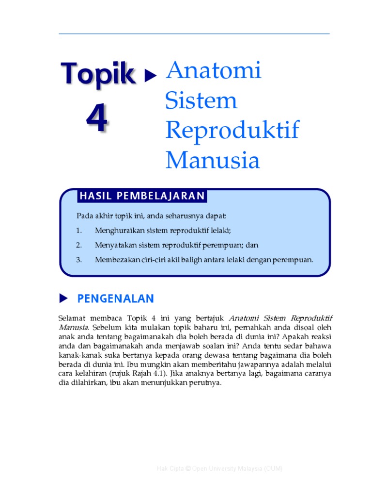 08 Hbhe2203 T4 Pdf