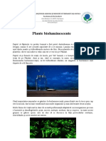 Plante_bioluminescente.docx