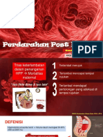 Dr. Nanda. Perdarahan Post Partum PDF