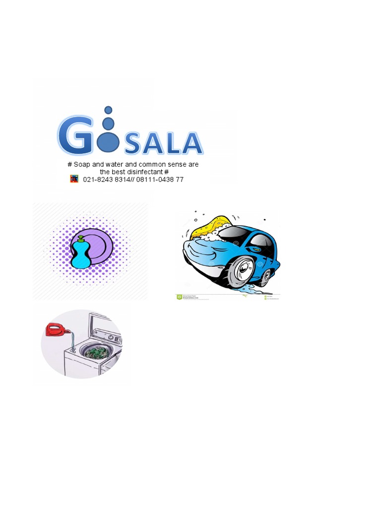Soap Disinfection Methods Explained | PDF | Home & Garden